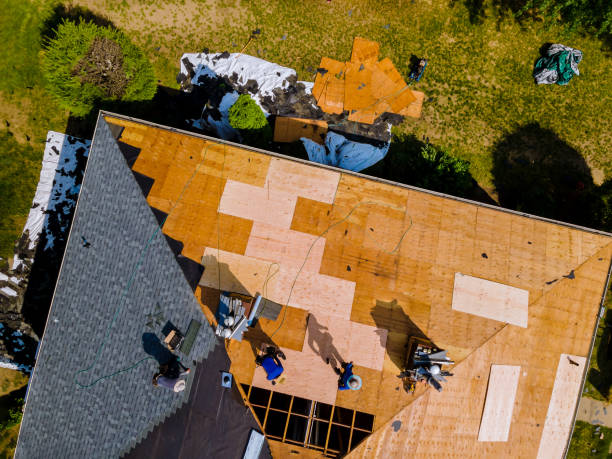 Best Roof Maintenance Services  in Hillsboro, OH