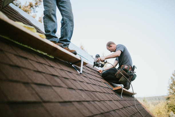 Best Metal Roofing Contractor  in Hillsboro, OH